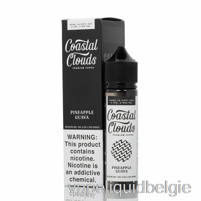 Vape Vloeibare Ananasguave - Kustwolken Co. - 60 Ml 0 Mg